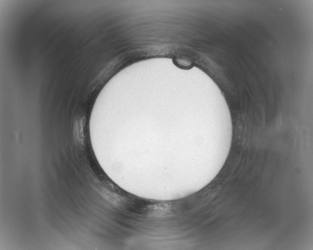 X0000067340118200604281455
