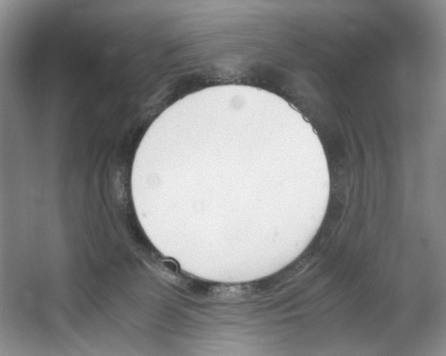 X0000067340131200604281455