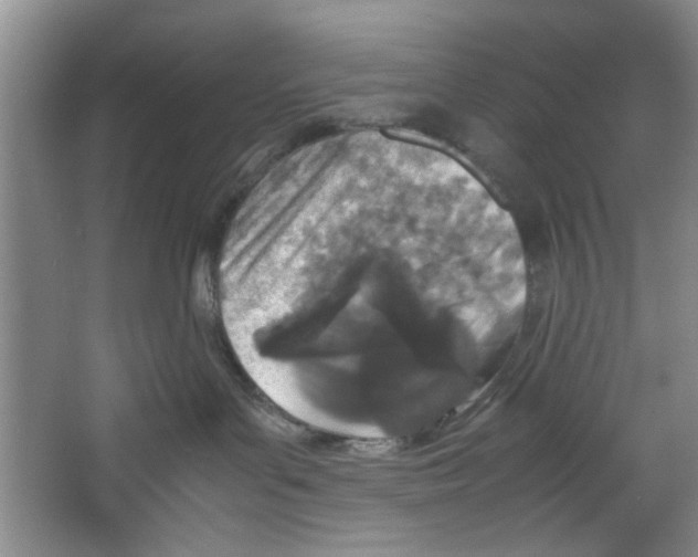 X0000067340143200604281455