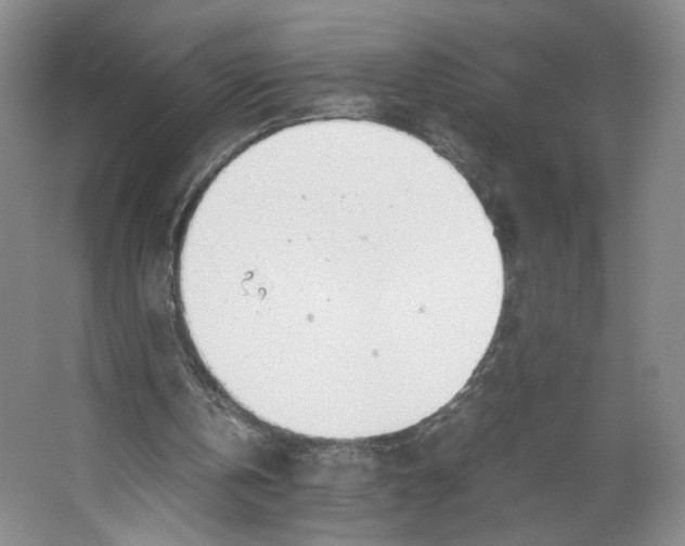 X0000067340146200604281454