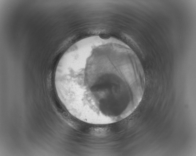 X0000067340163200604281454