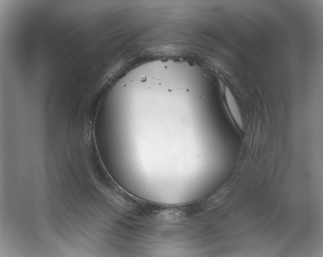 X0000067340168200604281454
