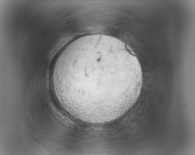 X0000067340194200604281454