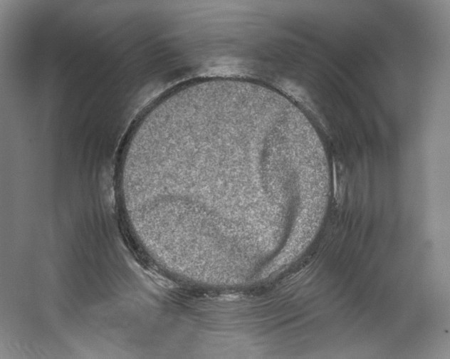 X0000067340204200604281453