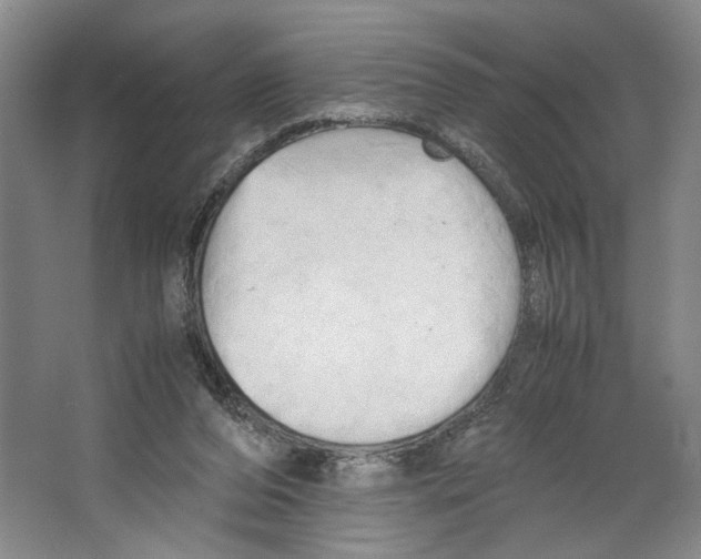 X0000067340208200604281453