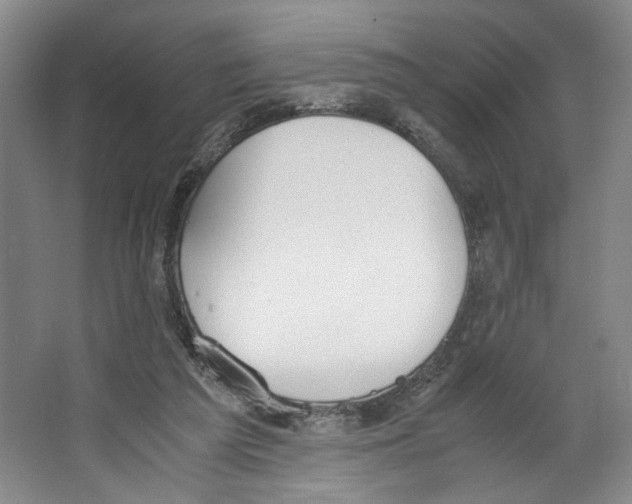 X0000067340209200604281453