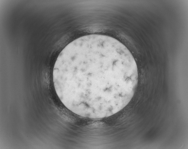 X0000067340210200604281453
