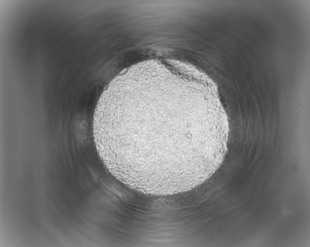X0000067340222200604281453