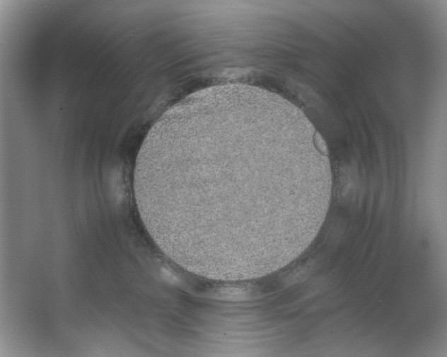 X0000067340236200604281453