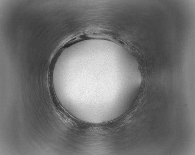 X0000067340244200604281452