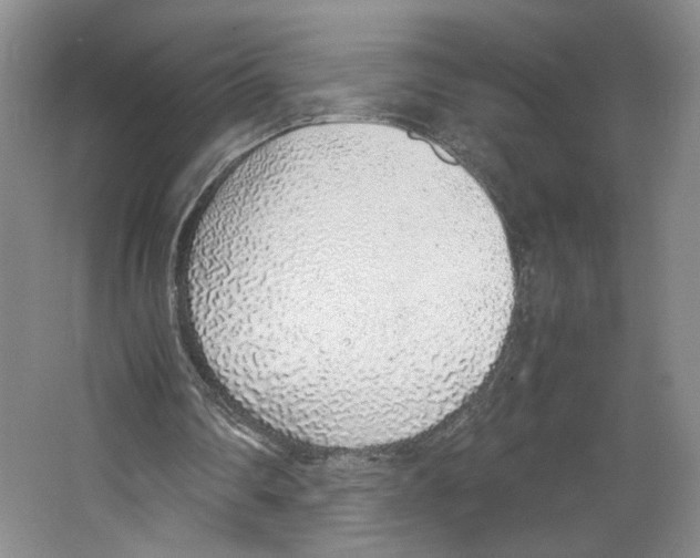 X0000067340290200604281452