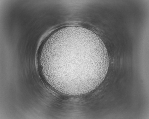X0000067340294200604281452