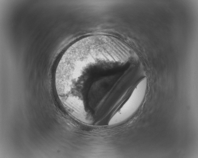 X0000067340295200604281452