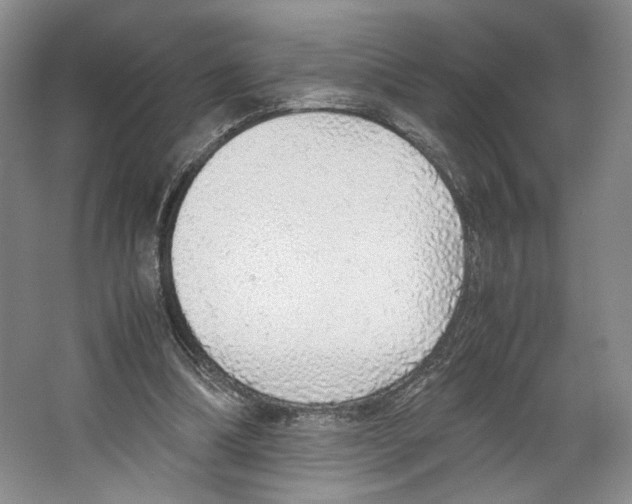 X0000067340298200604281452