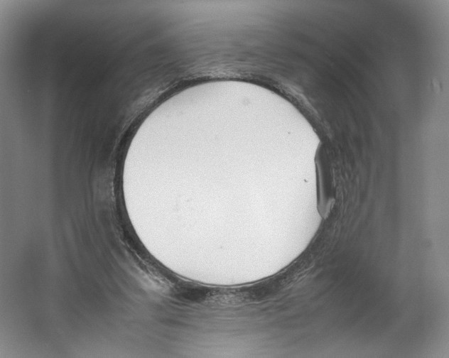 X0000067340299200604281452