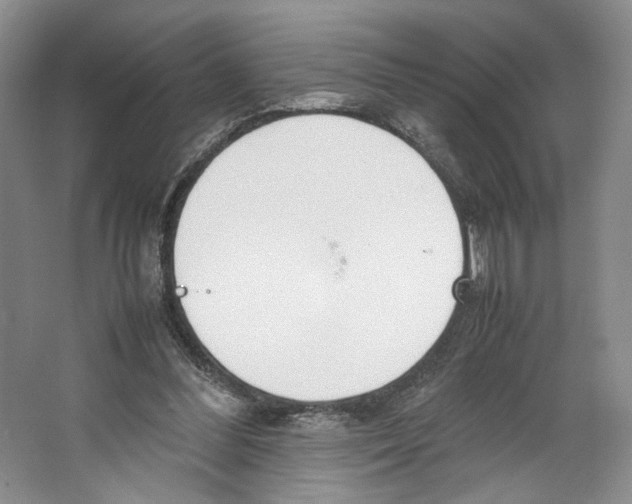 X0000067340300200604281452
