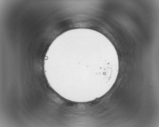 X0000067340305200604281452