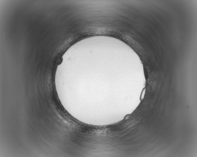 X0000067340306200604281452
