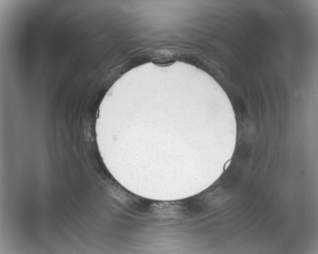 X0000067340331200604281451