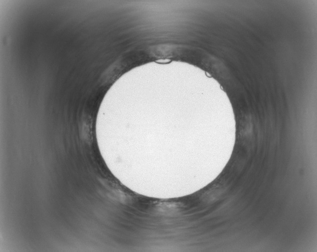 X0000067340332200604281451