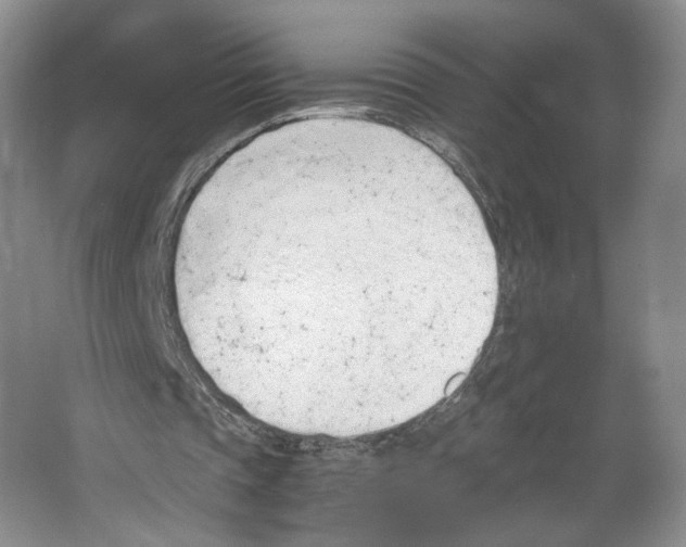 X0000067340337200604281450