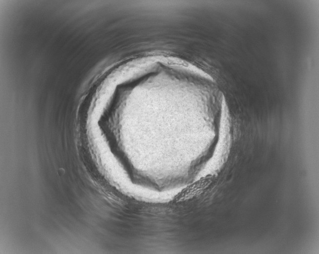 X0000067340339200604281450