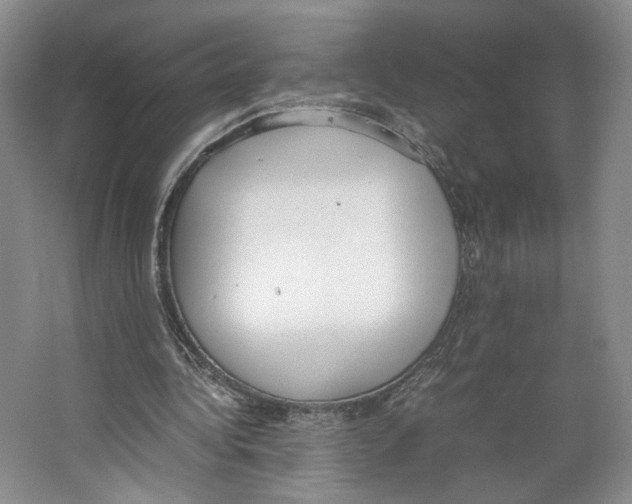 X0000067340340200604281451
