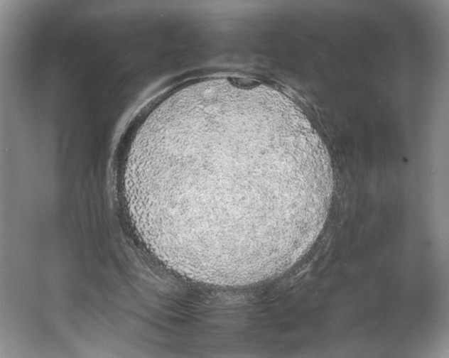 X0000067340343200604281451