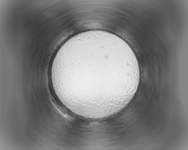 X0000067340390200604281450