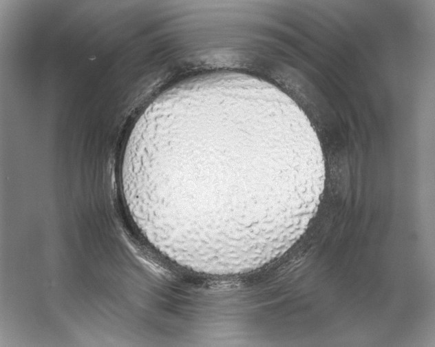 X0000067340398200604281450