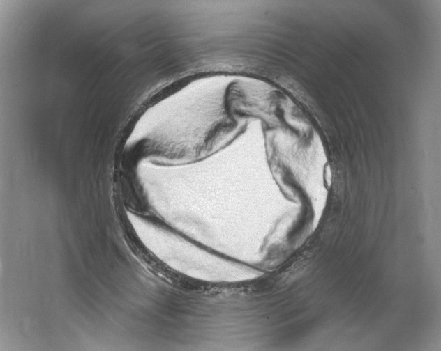 X0000067340434200604281449