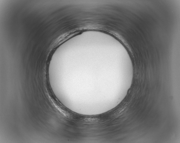 X0000067340437200604281449