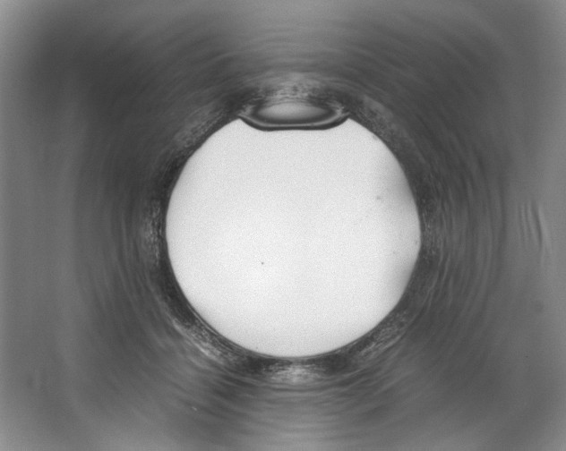 X0000067340460200604281449