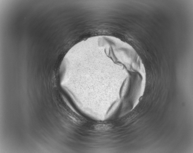 X0000067340465200604281449