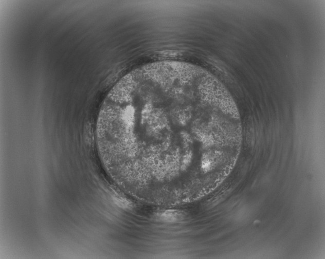 X0000067340467200604281449