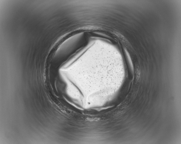X0000067340484200604281449