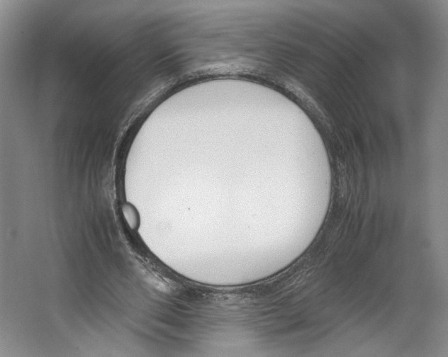 X0000067340486200604281449