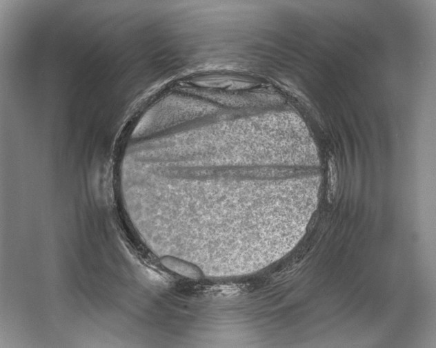 X0000067340492200604281449