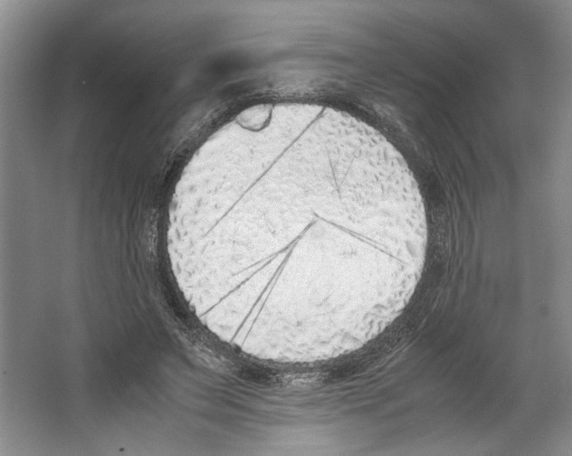 X0000067340495200604281449