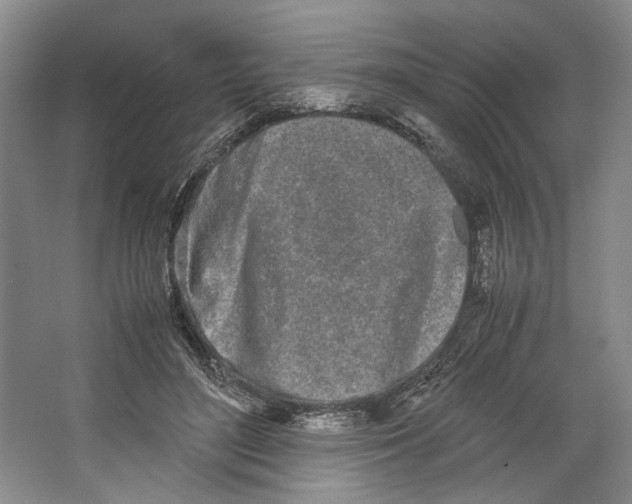 X0000067340500200604281449