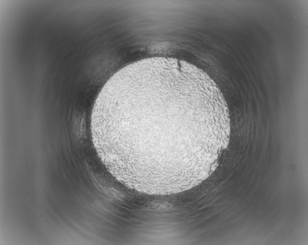 X0000067340502200604281448