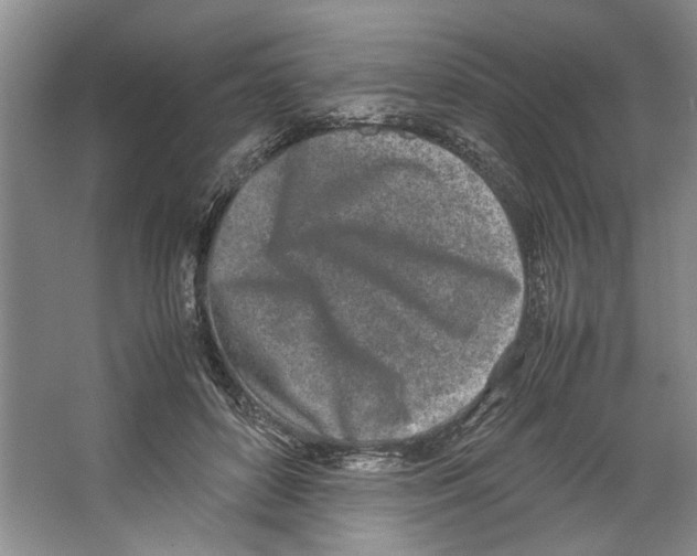 X0000067340504200604281448