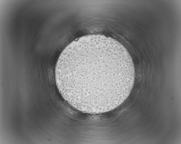X0000067340523200604281448