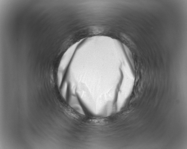 X0000067340524200604281448