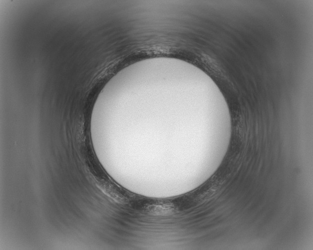 X0000067340548200604281448