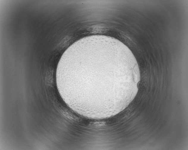 X0000067340554200604281448