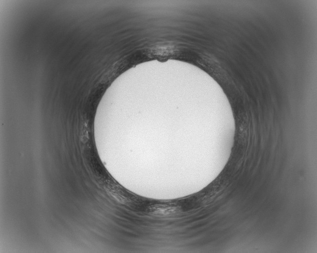 X0000067340555200604281448