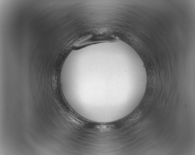 X0000067340558200604281448