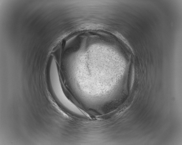 X0000067340581200604281447