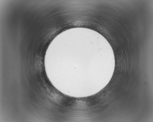 X0000067340592200604281447